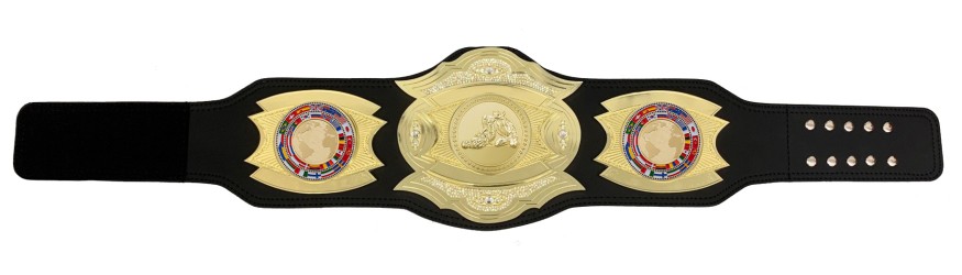 *NEW* PROGEMELITE JIU JITSU CHAMPIONSHIP BELT - PROGEMELITE/G/JJG *NEW* PROGEMELITE JIU JITSU CHAMPIONSHIP BELT - PROGEMELITE/G/JJG